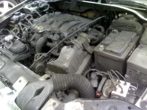 Tailgate PEUGEOT 306 Hatchback (7A, 7C, N3, N5)  | BP20021046C6 