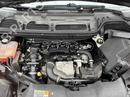 Kløtsj FORD C-MAX (DM2) 1.6 TDCi | BP28704697I13 - Image 22