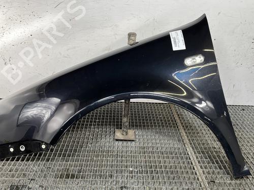 Used Left front fenders VW GOLF IV (1J1) 1.9 TDI (90 hp) 32367974
