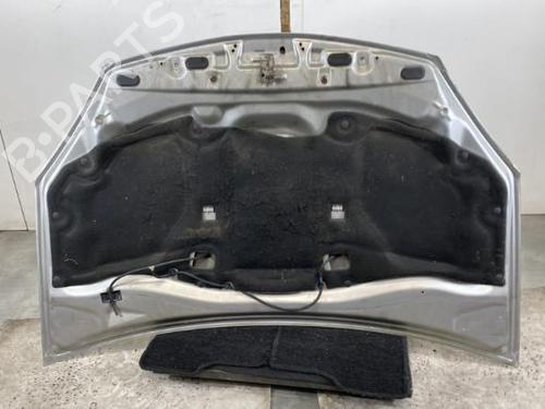 Used Hood Hood DACIA SANDERO 1.5 dCi (68 hp) 19969454 19969454