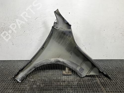 Left front fenders RENAULT MEGANE III Hatchback (BZ0/1_, B3_) 1.5 dCi (BZ09, BZ0D, BZ1W, BZ29, BZ14) | BP30593220C41