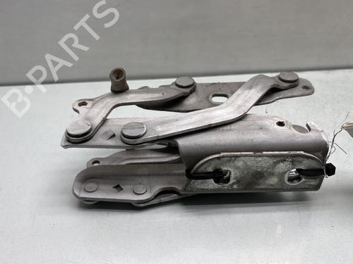 Hinge/Door check strap FORD FIESTA VI (CB1, CCN) 1.25 | BP29841751C146