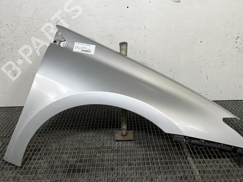 Used Right front fenders RENAULT LAGUNA III (BT0/1) 2.0 dCi (BT01, BT08, BT09, BT0E, BT0K, BT12, BT1C, BT1D,... (150 hp) 30878461