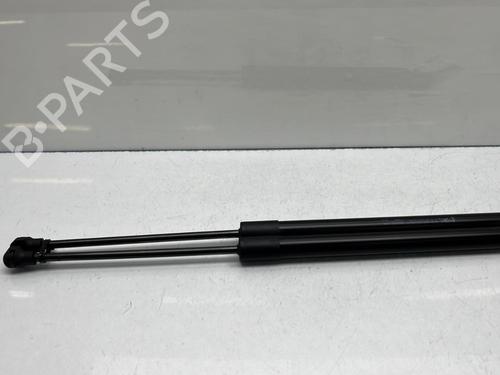 Tailgate lift support PEUGEOT 2008 II (UD_, US_, UY_, UJ_, UR_, UC_) e-2008 (UKZKXZ) | BP20659876C138