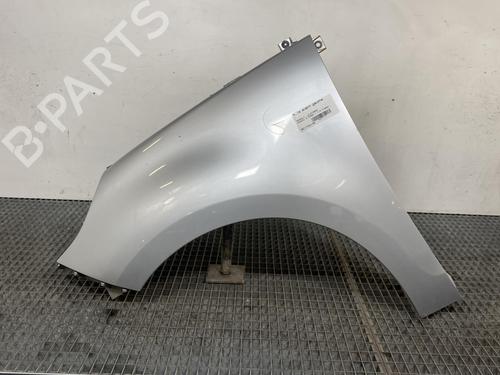 Left front fenders RENAULT SCÉNIC III (JZ0/1_) 1.5 dCi | BP19962307C41