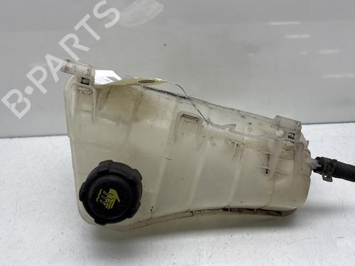 Used Expansion tank RENAULT KANGOO Express (FW0/1_) 1.5 dCi 90 (FW0G, FW05, FW08, FW11) (90 hp) 26715632