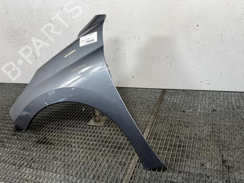 Left front fenders PEUGEOT 207 (WA_, WC_) 1.6 HDi | BP29413589C41 