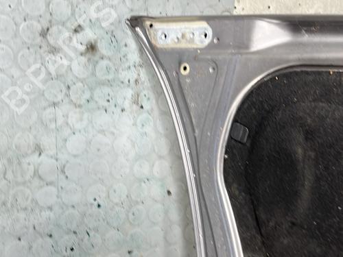 Hood VW POLO IV (9N_, 9A_) 1.4 TDI | BP28281437C1 