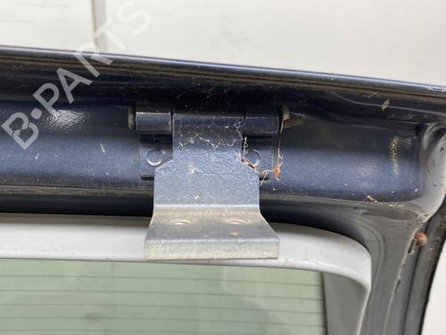 Used Tailgate Tailgate 21958196 21958196