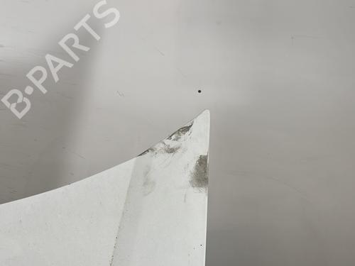 Hood RENAULT KANGOO Express (FC0/1_) 1.5 dCi | BP24152972C1 