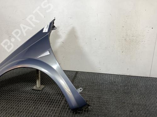 Left front fenders RENAULT MEGANE II Coupé-Cabriolet (EM0/1_) 1.5 dCi (EM1E) | BP22179988C41 