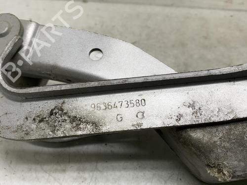 Used Hinge/Door check strap PEUGEOT 307 (3A/C) 1.6 HDi (90 hp) 19956945