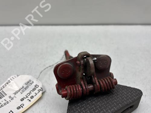 Hinge/Door check strap PEUGEOT 205 II (20A/C) 1.1 | BP29711656C146 