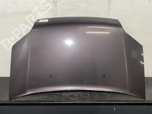 Hood FORD TRANSIT CONNECT (P65_, P70_, P80_) 1.8 TDCi | BP20013015C1