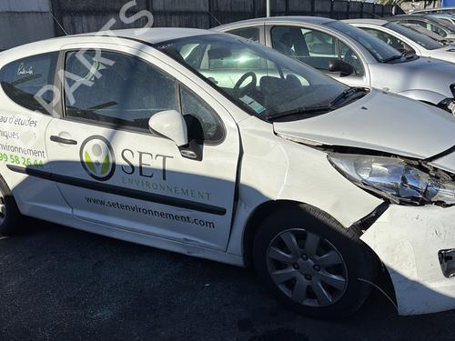 Door moulding trim PEUGEOT 207 (WA_, WC_) 1.4 HDi | BP29939682C150