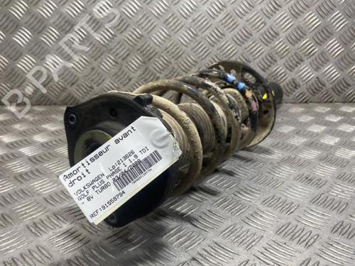 Used Right front shock absorber VW GOLF PLUS V (5M1, 521) 1.9 TDI (105 hp) 19949101