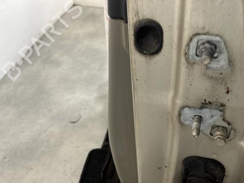 Left front door RENAULT CLIO III (BR0/1, CR0/1) 1.5 dCi (BR17, CR17) | BP29841700C2