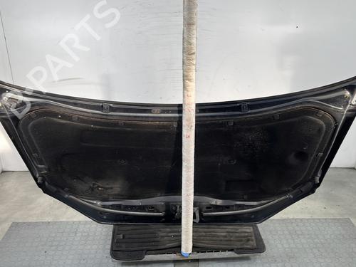 Hood VW POLO IV (9N_, 9A_) 1.4 TDI | BP29119632C1 
