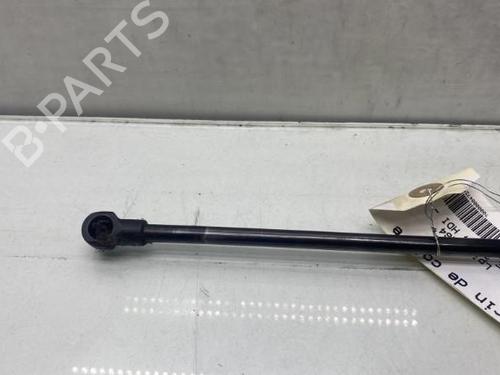 Used Tailgate lift support Tailgate lift support PEUGEOT 107 (PM_, PN_) 1.4 HDi (54 hp) 19968534 19968534