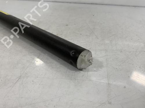 Front right belt tensioner SEAT IBIZA II (6K1)  | BP20014086C88 