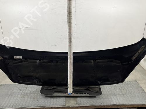Hood PEUGEOT 3008 I MPV (0U_) 1.6 HDi | BP29886958C1 