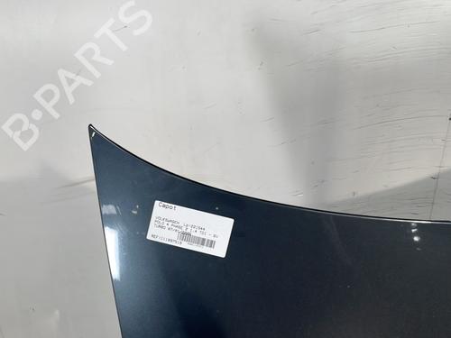 Hood VW POLO IV (9N_, 9A_) 1.4 TDI | BP29119632C1 