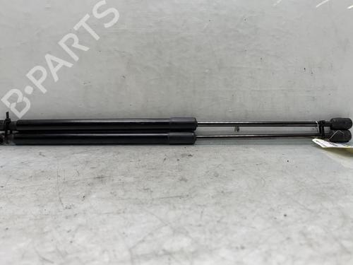 Tailgate lift support SKODA FABIA II (542) 1.2 TSI | BP20021978C138 