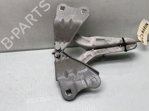 hingedoor-check-strap-renault-twingo-ii-cn0_-2007-30968671 main image