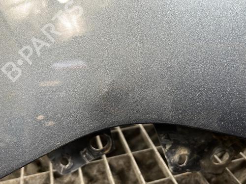 Left front fenders CITROËN BERLINGO / BERLINGO FIRST MPV (MF_, GJK_, GFK_) 1.6 HDI 90 (MF9HX) | BP28282070C41 