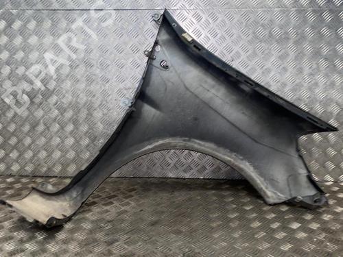 Left front fenders RENAULT CLIO III (BR0/1, CR0/1) 1.5 dCi (C/BR0G, C/BR1G) | BP28625489C41 