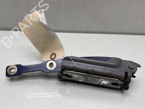 hingedoor-check-strap-dacia-sandero-ii-2012-33314049 main image