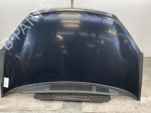 Panser FORD FOCUS C-MAX (DM2)  | BP21961172C1 