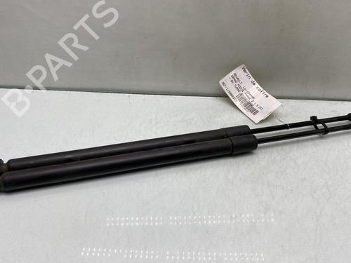 tailgate-lift-support-renault-modus-grand-modus-fjp0_-2004-31887113 main image