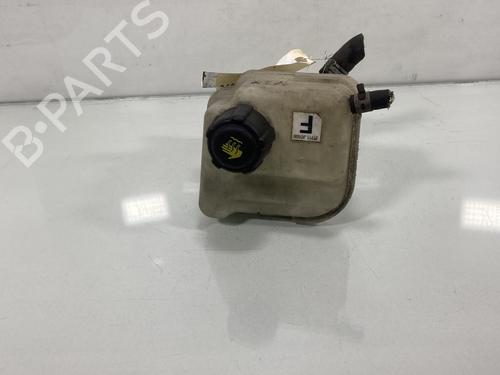 Used Expansion tank NISSAN QASHQAI / QASHQAI +2 I (J10, NJ10, JJ10E) 1.5 dCi (106 hp) 19953585