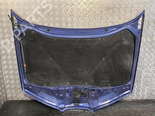 Used Hood SEAT IBIZA III (6L1) 1.9 TDI (100 hp) 30941211