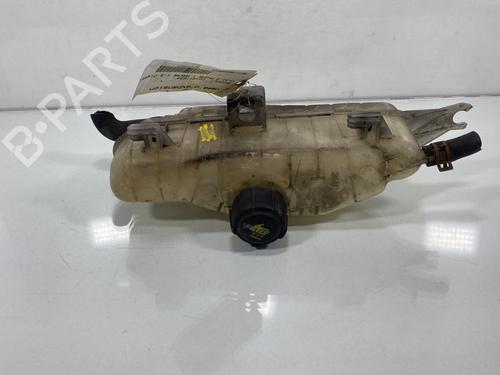 Used Expansion tank RENAULT CLIO III Grandtour (KR0/1_) 1.5 dCi (KR0G) (68 hp) 19953530