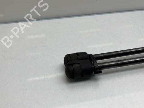 Tailgate lift support VW SCIROCCO III (137, 138) 2.0 TDI | BP19953506C138 