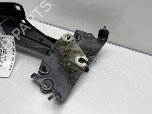 Used Hinge/Door check strap RENAULT MEGANE III Hatchback (BZ0/1_, B3_) [2008-2025]  19958525