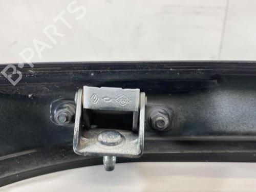 Tailgate RENAULT KOLEOS I (HY_) 2.0 dCi (HY0K) | BP19992101C6 