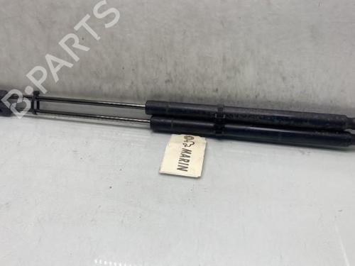 Used Tailgate lift support Tailgate lift support RENAULT MEGANE II Estate (KM0/1_) [2003-2012] 19960773 19960773
