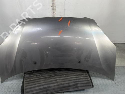 Hood KIA PICANTO I (SA) 1.0 6640007510