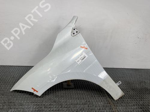 Left front fenders RENAULT MEGANE III Hatchback (BZ0/1_, B3_) 1.5 dCi (BZ0C) | BP21959044C41 