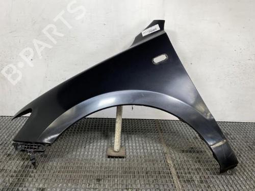 Left front fenders HYUNDAI SANTA FÉ II (CM) 2.2 CRDi 4x4 | BP19952139C41 
