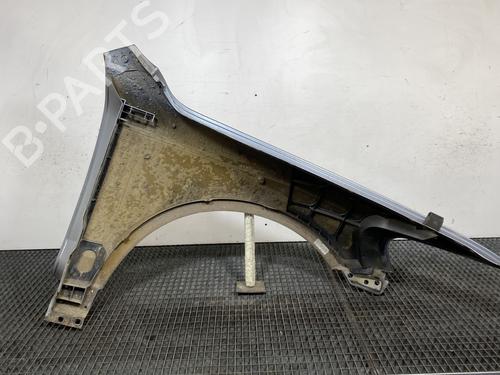 Left front fenders VW TOUAREG (7LA, 7L6, 7L7) 2.5 R5 TDI | BP21051176C41 