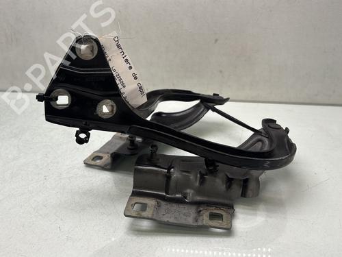 Used Hinge/Door check strap Hinge/Door check strap RENAULT MEGANE IV Hatchback (B9A/M/N_) 1.6 dCi 130 (B9A4) (130 hp) 33331802 33331802