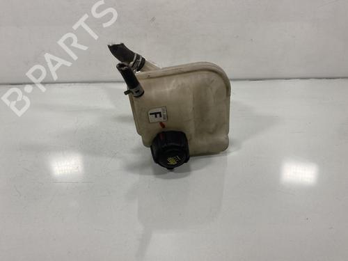 Used Expansion tank NISSAN QASHQAI / QASHQAI +2 I (J10, NJ10, JJ10E) 1.5 dCi (106 hp) 19993860