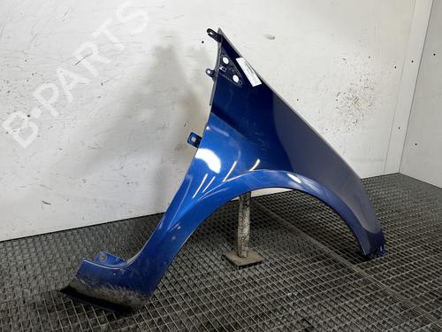 Right front fenders RENAULT CLIO III (BR0/1, CR0/1) 1.5 dCi (BR17, CR17) | BP32062578C42
