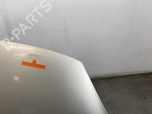 Used Hood RENAULT SCÉNIC III (JZ0/1_) 1.9 dCi (JZ0J, JZ1J, JZ1K, JZ1S) (131 hp) 21959620