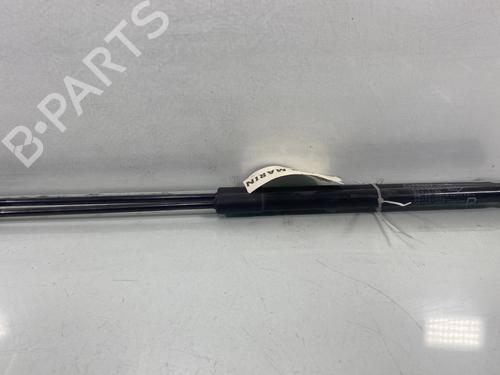 tailgate-lift-support-suzuki-swift-v-az-2017-27632014 main image