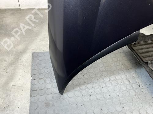 Capot CITROËN C8 (EA_, EB_) 2.0 HDi 165 | BP30900361C1 